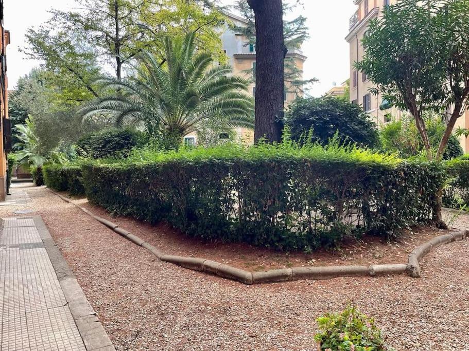 New - Comfortable Apt Porta Latina Rome Exterior photo